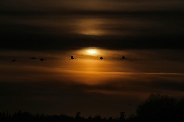 Observarea solstițiului de iarnă